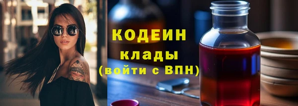твердый Новодвинск