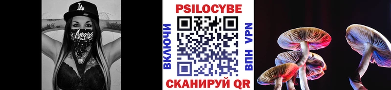 OMG зеркало  Ярцево  Псилоцибиновые грибы Psilocybine cubensis 